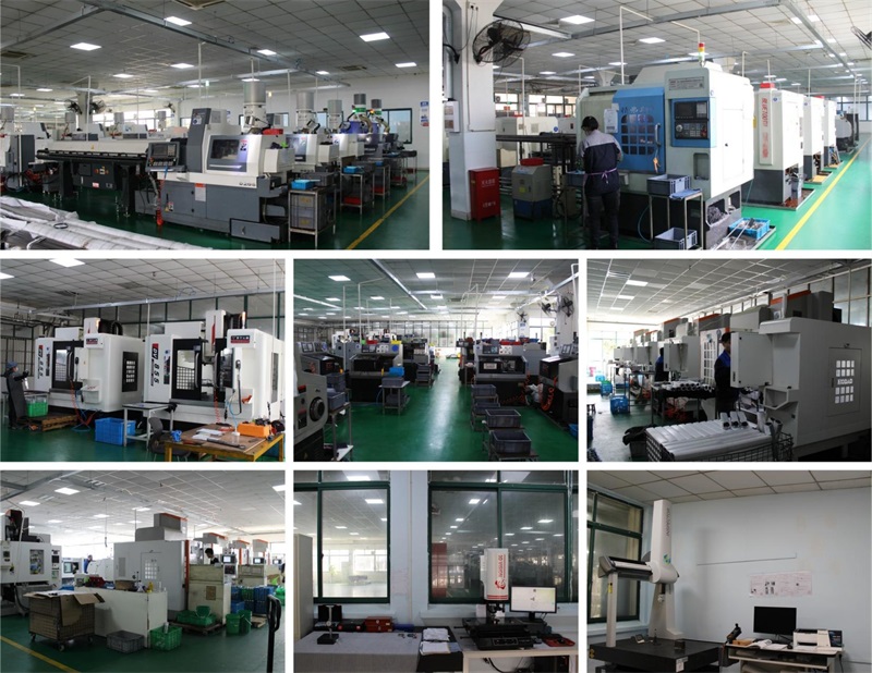 Warmly congratulate Shanghai Xiyong Hardware & Electrical Co!